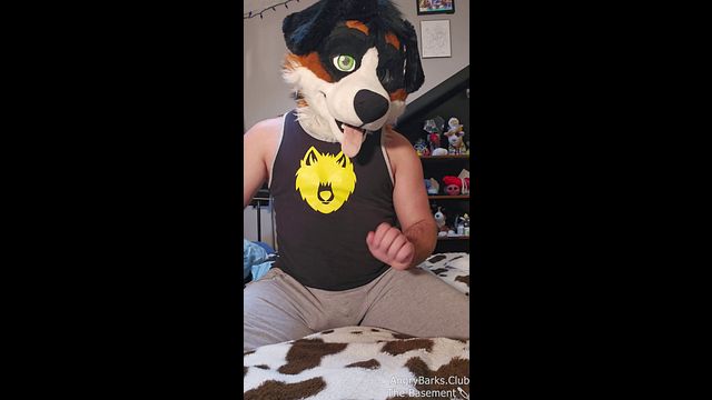 How to neuter your pup! A fictional, easy to follow guide with AngryBarks
