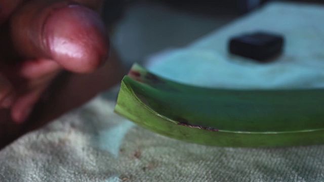 fucking an aloe leaf and cumming a thick load