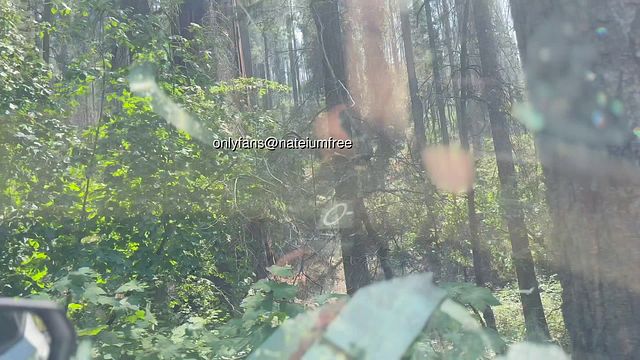 307 FMF Blowjob in a Forest Stream with Luna Asian MILF Real Couple Amateur Homemade Hot Wife