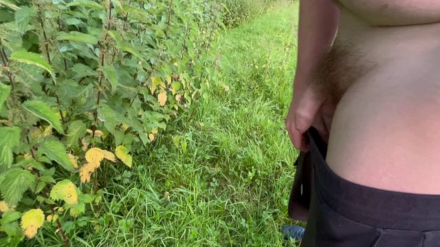 Morning pee these stinging nettles wanted me to pee on them